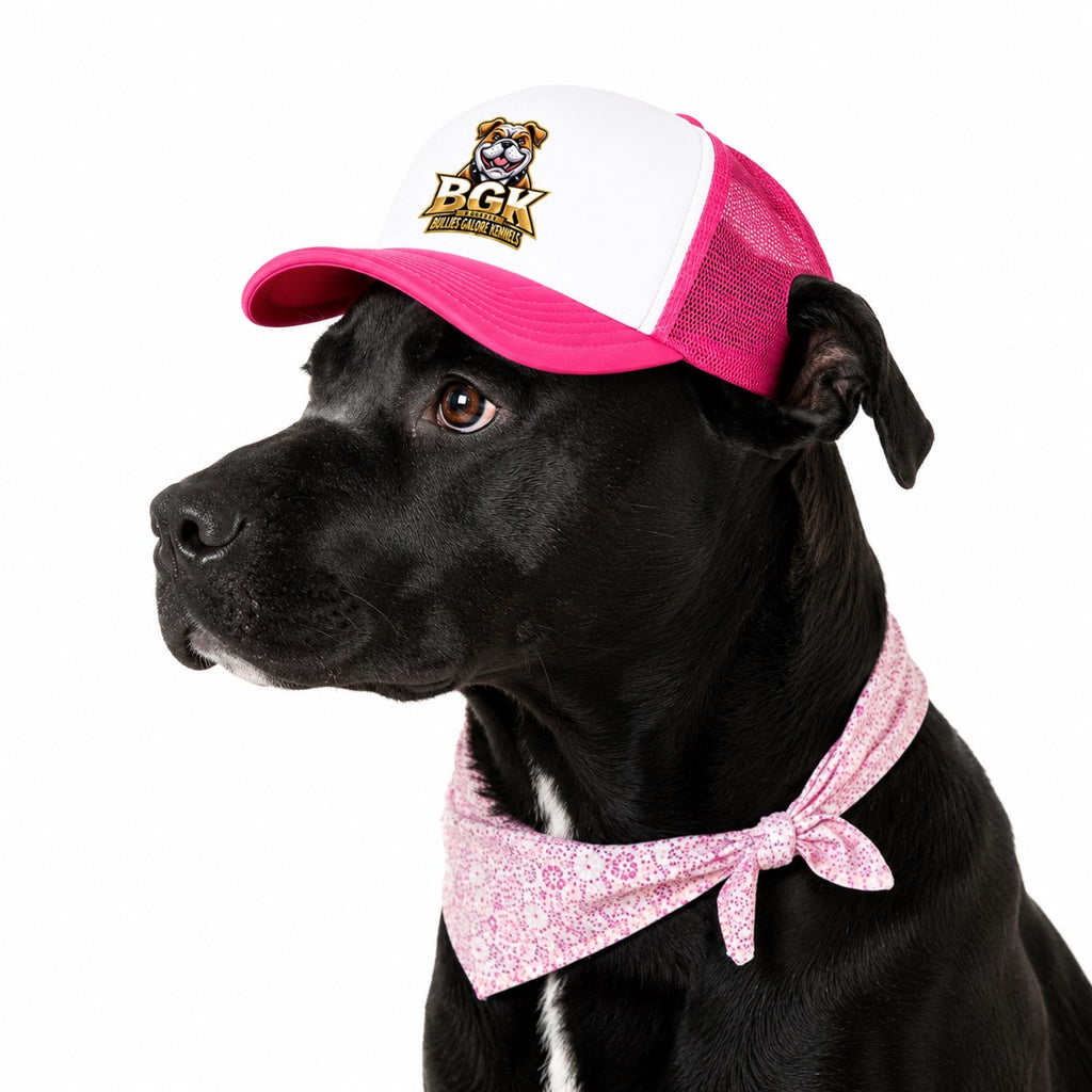 A black labrador wearing the BGK trucker hat in pink, side view