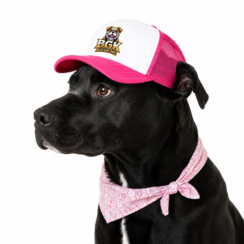A black labrador wearing the BGK trucker hat in pink, side view